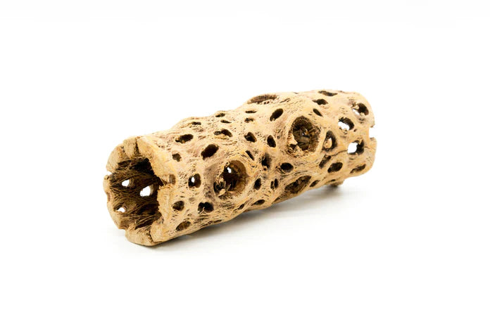 Cholla Driftwood Tunnel Tube
