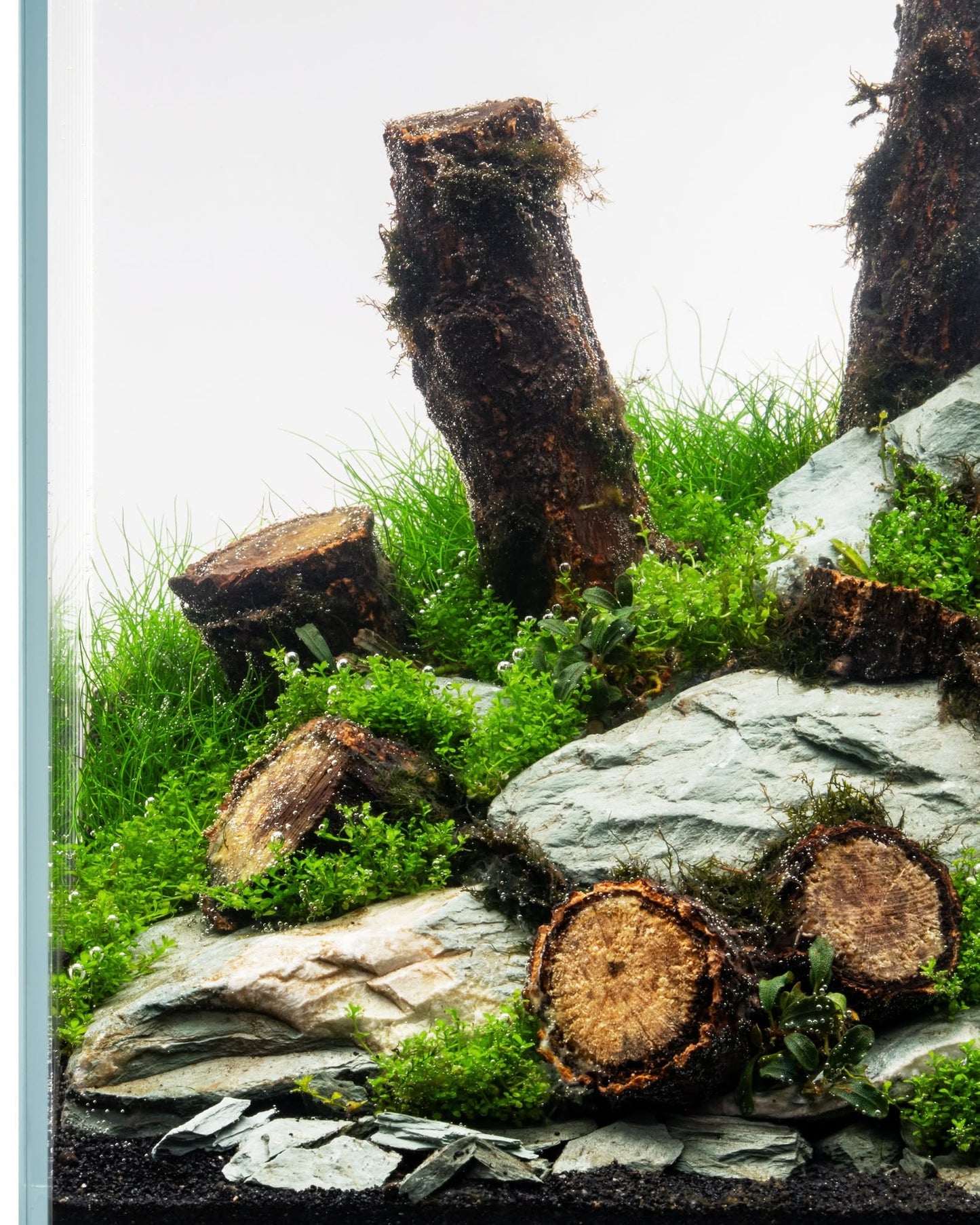 Log Wood | Easy Position Aquascape Wood