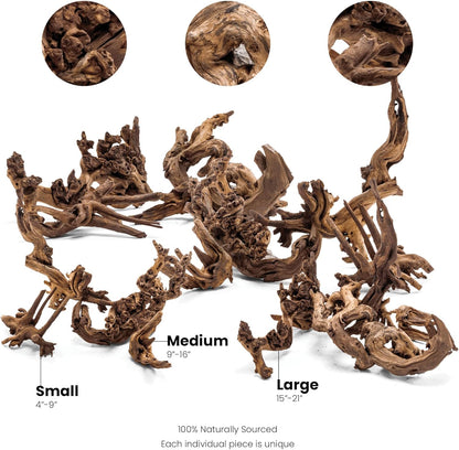 Amazon Driftwood | NatureFlow Hardscape