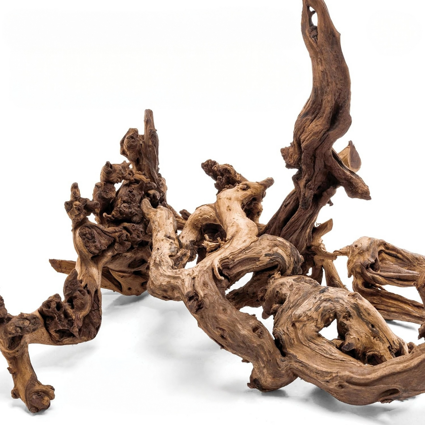 Amazon Driftwood | NatureFlow Hardscape