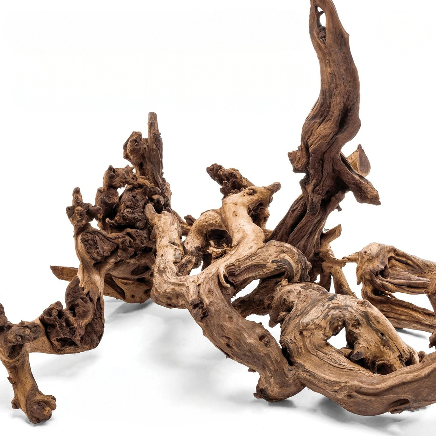 Amazon Driftwood | NatureFlow Hardscape