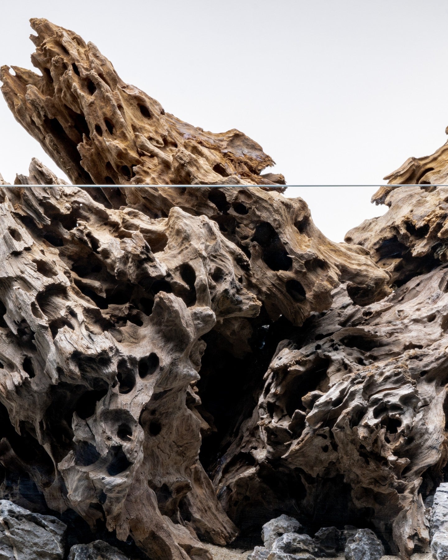 Dragon Driftwood | Aquascape Grade