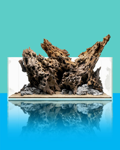 Dragon Driftwood | Aquascape Grade
