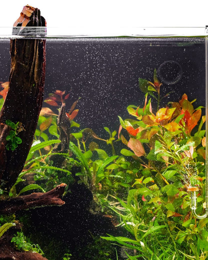 Pacific Driftwood | Prime Hardscape