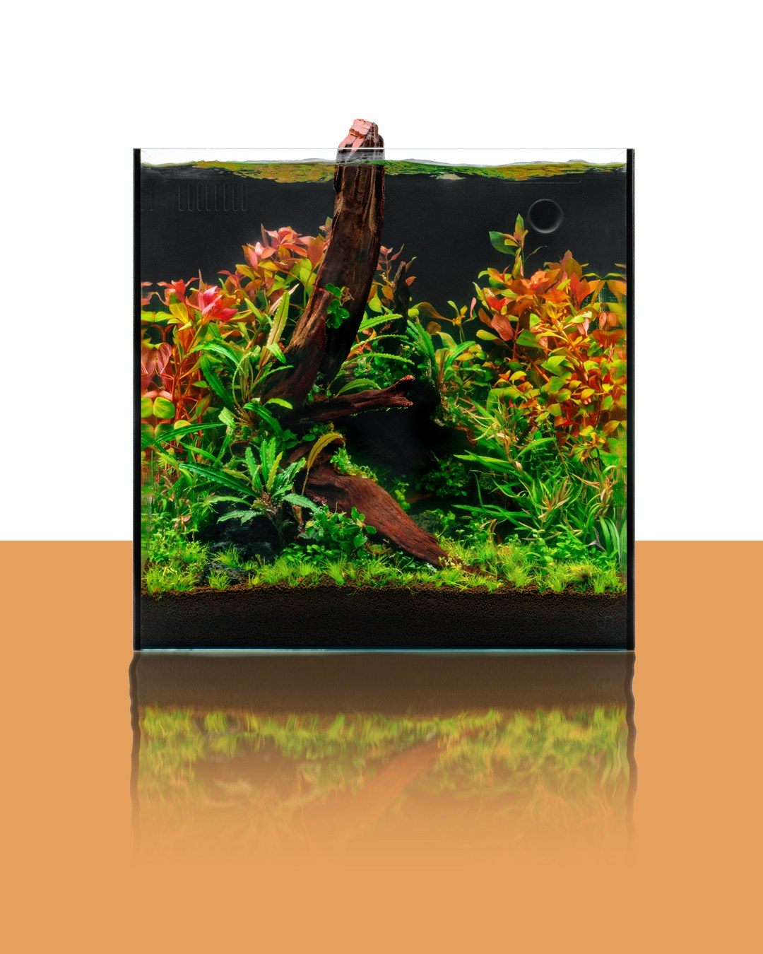 Pacific Driftwood | Prime Hardscape