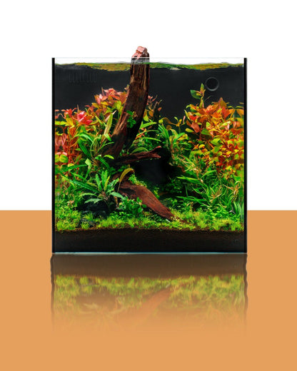 Pacific Driftwood | Prime Hardscape