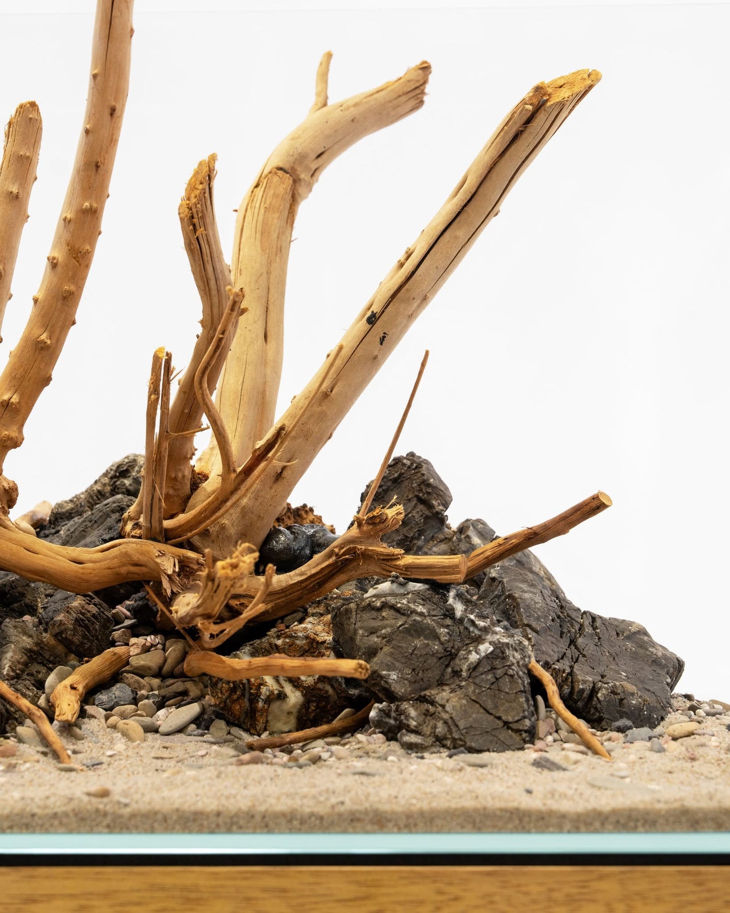 Spider Driftwood | Designer Hardscape