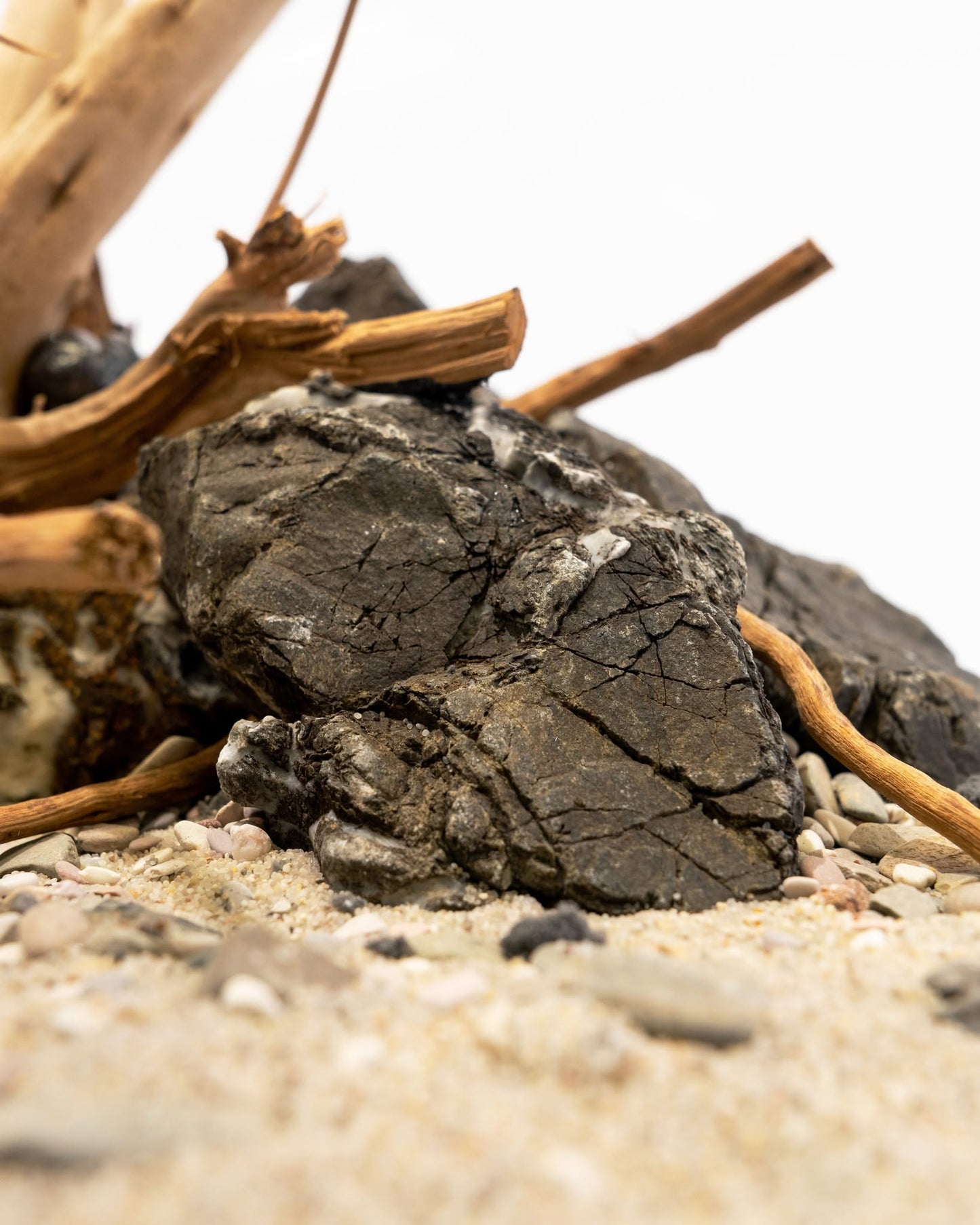 Spider Driftwood | Designer Hardscape