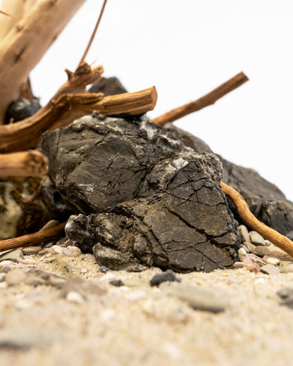 Spider Driftwood | Designer Hardscape