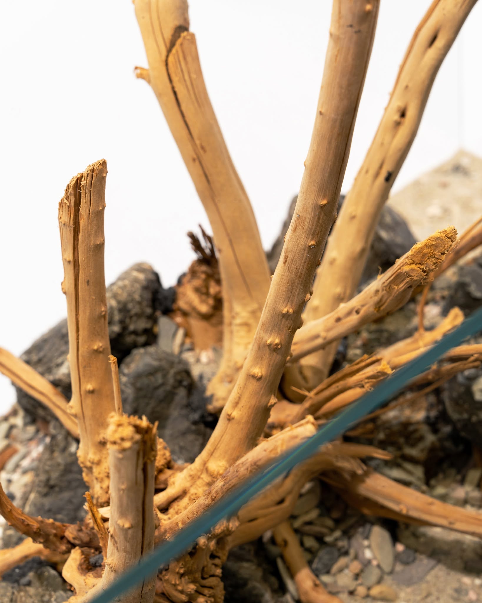 Spider Driftwood | Designer Hardscape